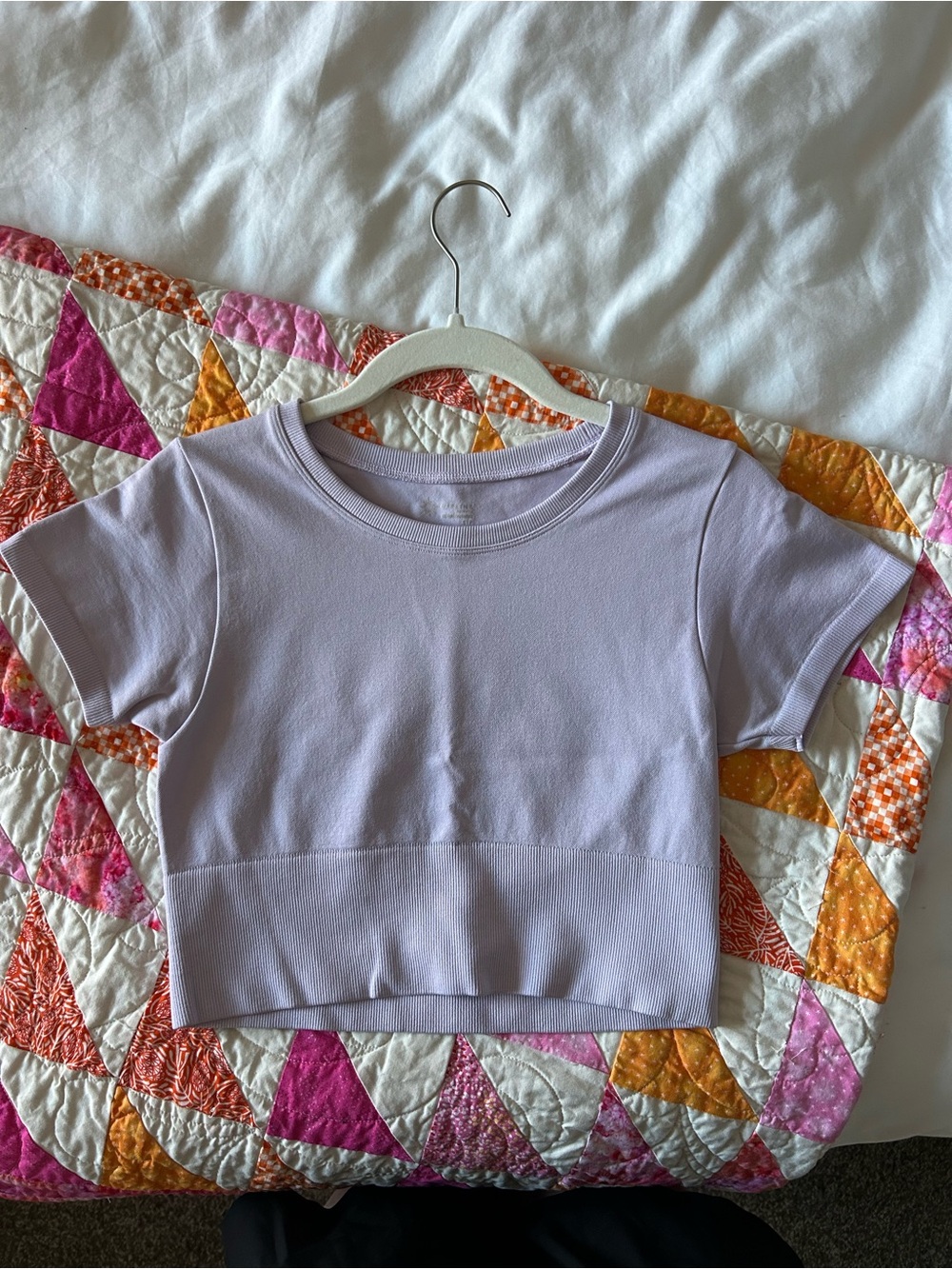 aerie Lavender Cropped Crewneck Tee